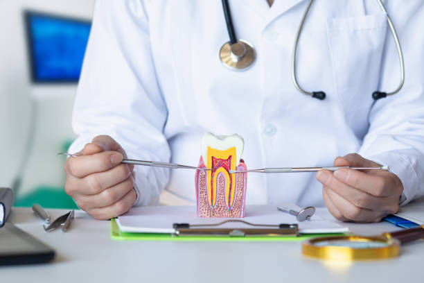 Best Urgent Tooth Repair  in Drexel, NC